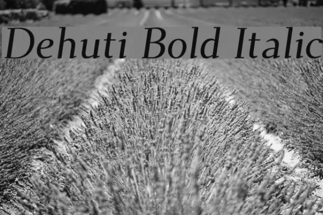 Dehuti Bold Italic Font examples