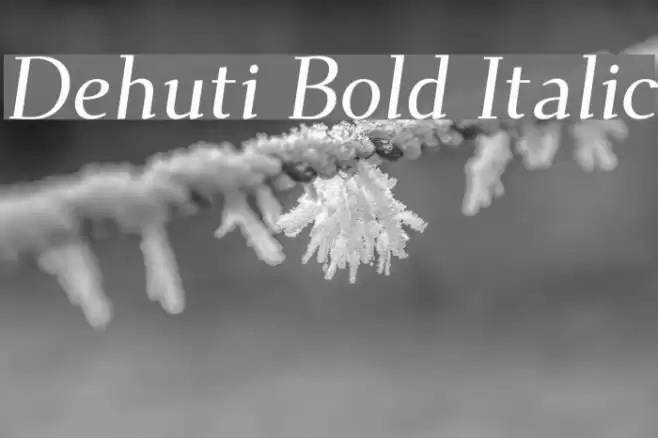 Dehuti Bold Italic Font examples