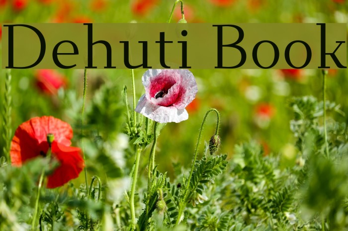 Dehuti Book Font examples