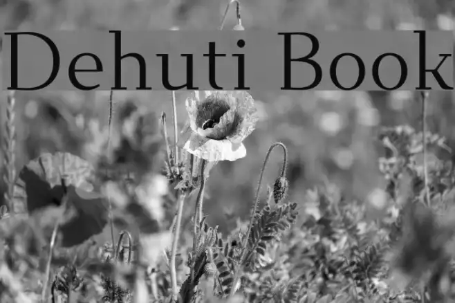 Dehuti Book Example 1