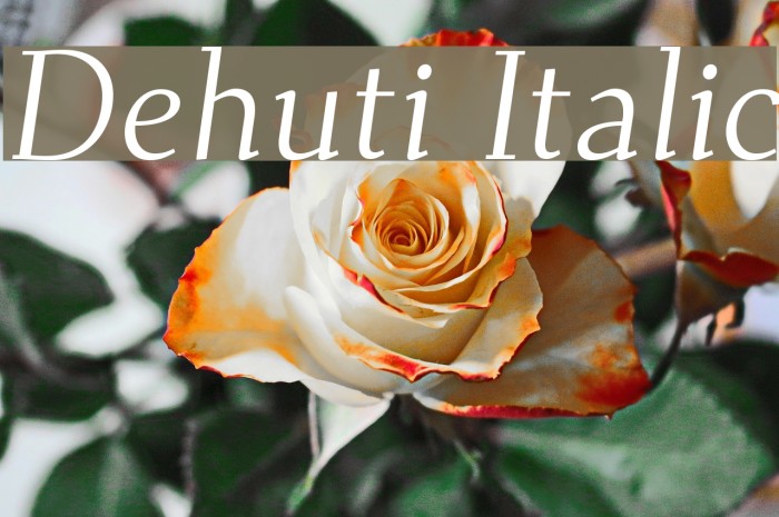 Dehuti Italic Font examples
