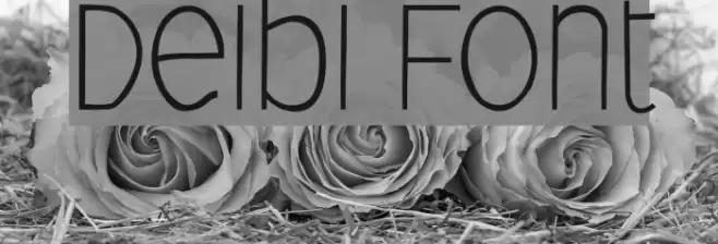 Deibi Font examples