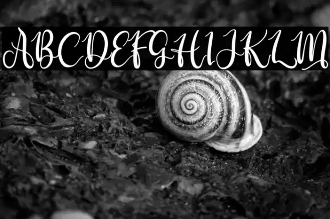 Deirma Font examples