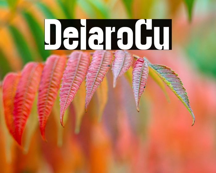 Deitaro Cut Example 2