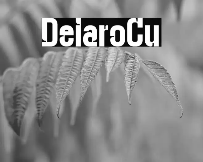 Deitaro Cut Example 2