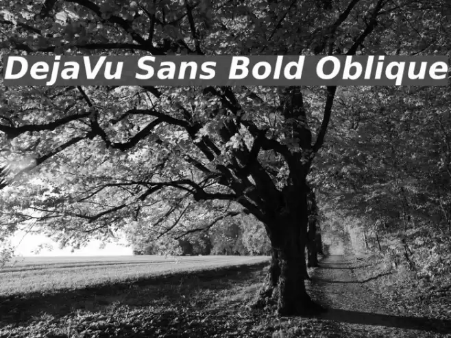 DejaVu Sans Bold Oblique examples