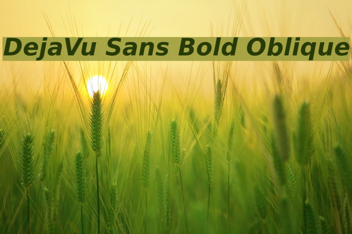 DejaVu Sans Bold Oblique Font examples