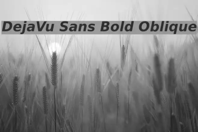 DejaVu Sans Bold Oblique examples