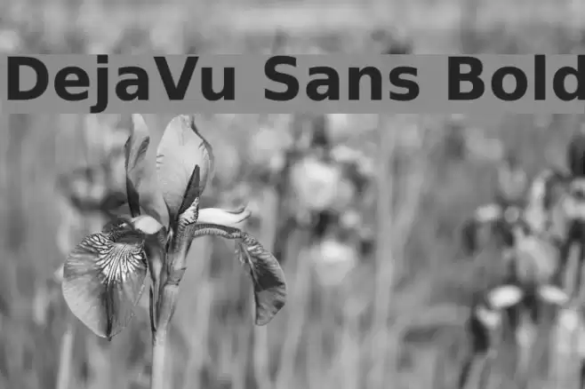 DejaVu Sans Bold Font examples