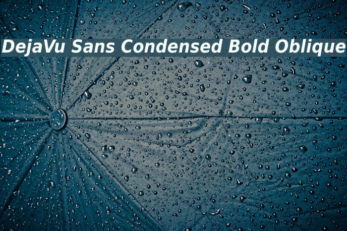 DejaVu Sans Condensed Bold Oblique Font examples
