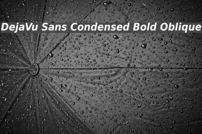 DejaVu Sans Condensed Bold Oblique  examples