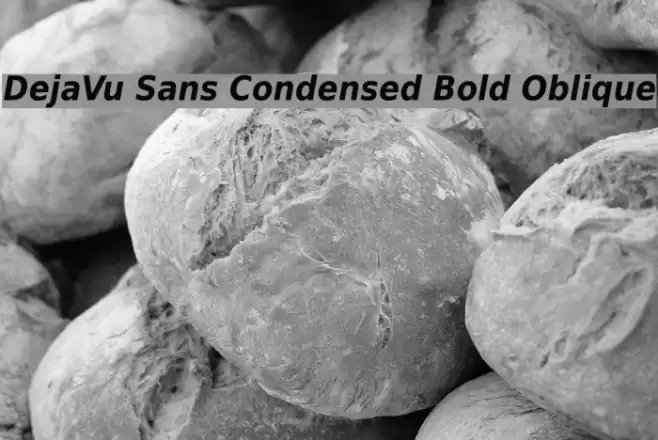 DejaVu Sans Condensed Bold Oblique  examples