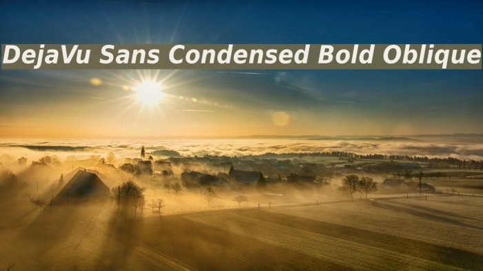 DejaVu Sans Condensed Bold Oblique Font examples