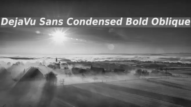 DejaVu Sans Condensed Bold Oblique  examples