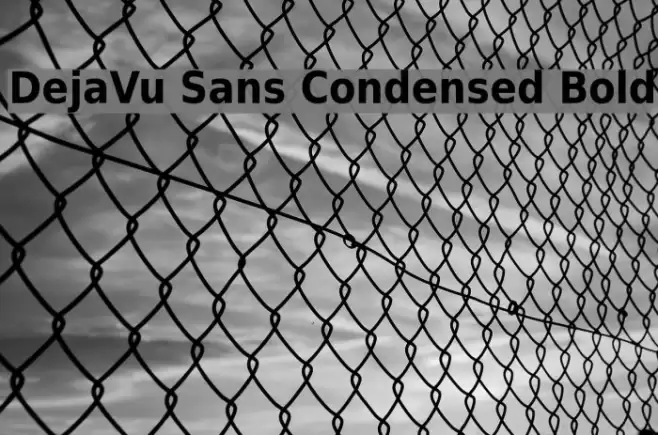 DejaVu Sans Condensed Bold Font examples