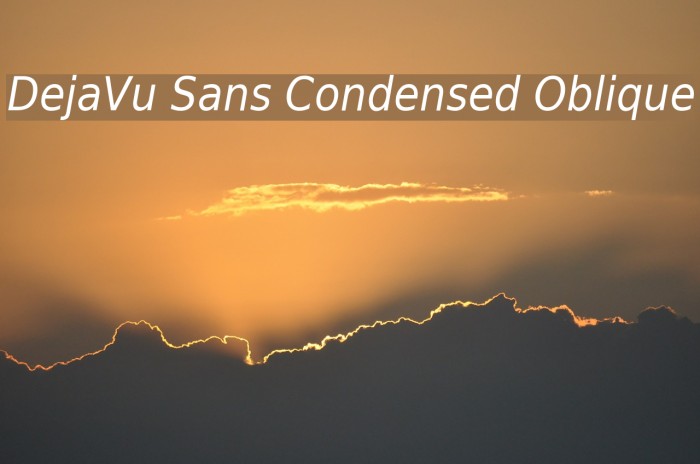 DejaVu Sans Condensed Oblique Font examples