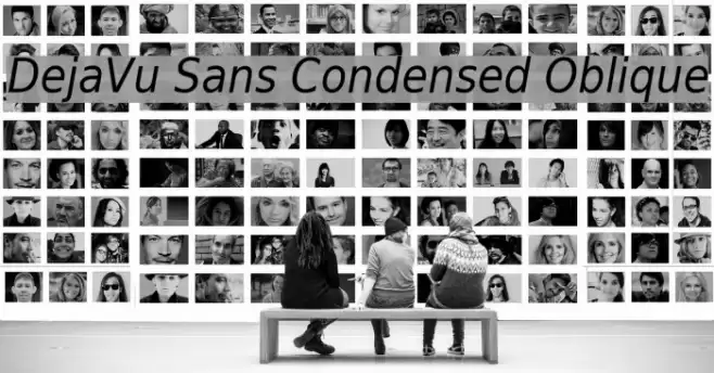 DejaVu Sans Condensed Oblique Font examples