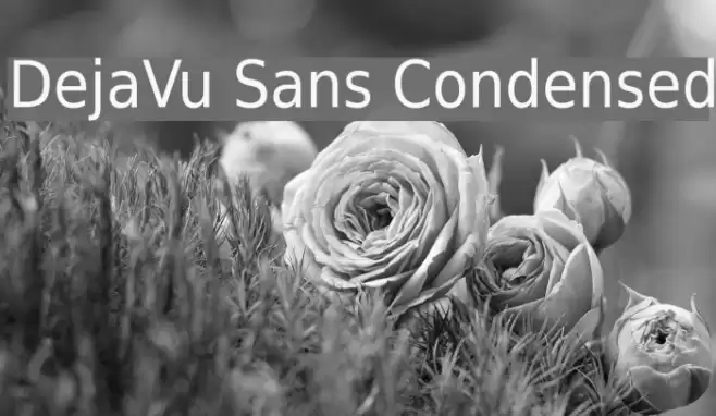 DejaVu Sans Condensed フォント examples