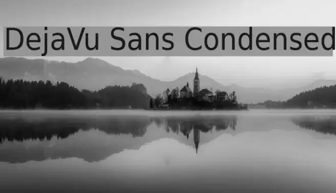DejaVu Sans Condensed フォント examples