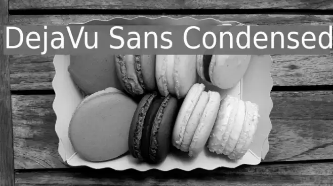 DejaVu Sans Condensed フォント examples