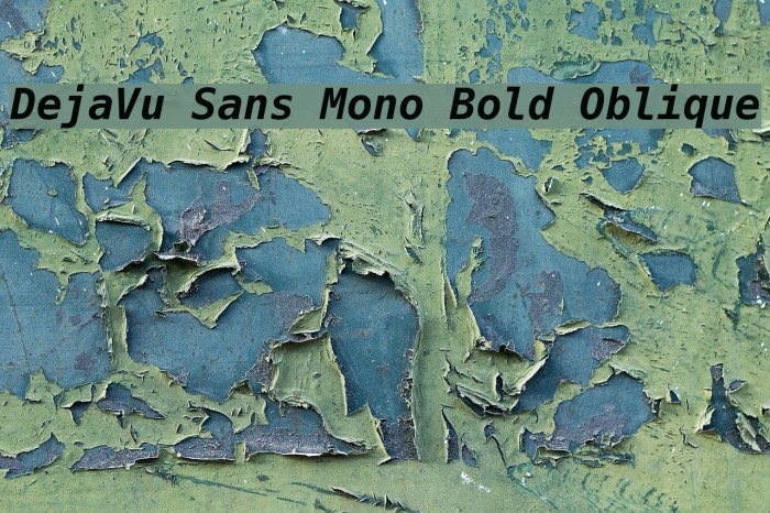 DejaVu Sans Mono Bold Oblique フォント examples