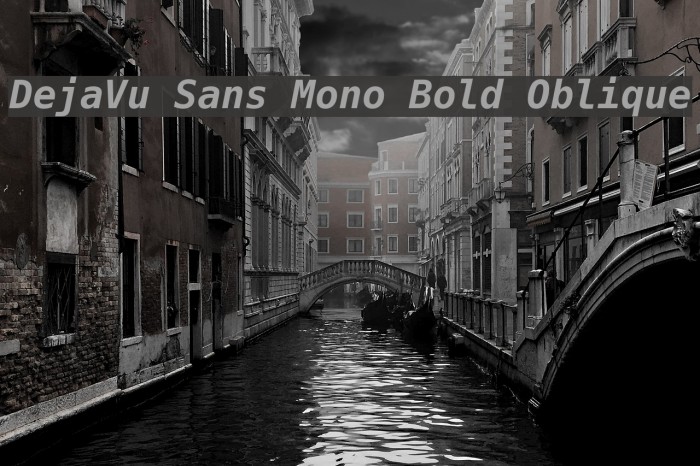 DejaVu Sans Mono Bold Oblique フォント examples