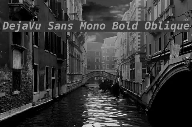 DejaVu Sans Mono Bold Oblique Шрифта examples