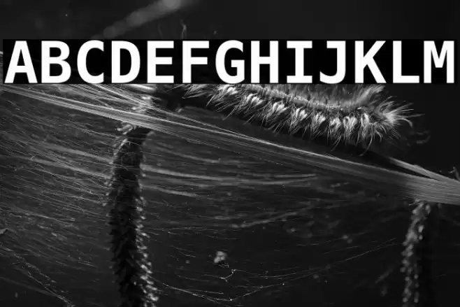 DejaVu Sans Mono Bold Font examples