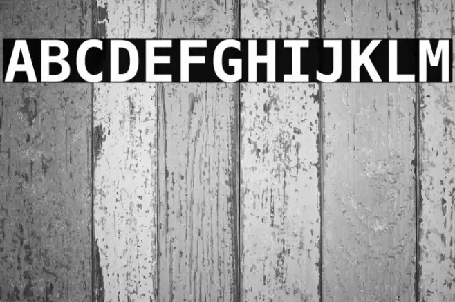 DejaVu Sans Mono Bold Font examples