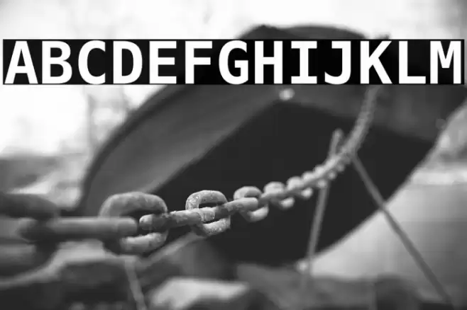 DejaVu Sans Mono Bold Font examples