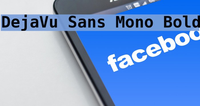 DejaVu Sans Mono Bold フォント examples