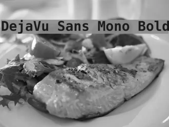 DejaVu Sans Mono Bold フォント examples