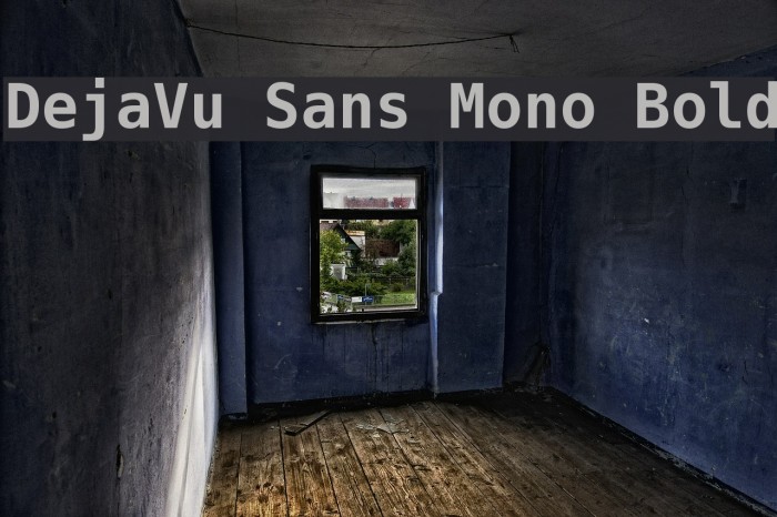 DejaVu Sans Mono Bold フォント examples