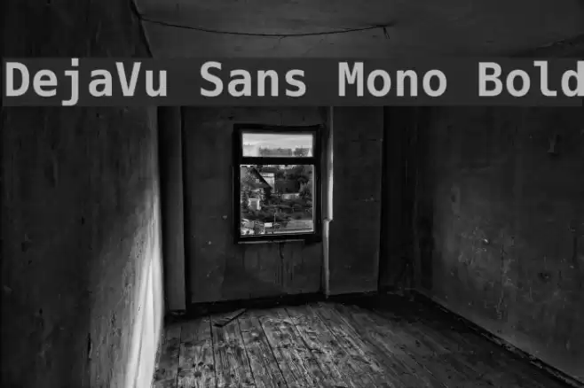 DejaVu Sans Mono Bold フォント examples