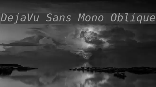 DejaVu Sans Mono Oblique Font examples
