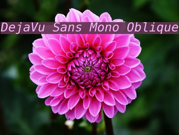 DejaVu Sans Mono Oblique Font examples