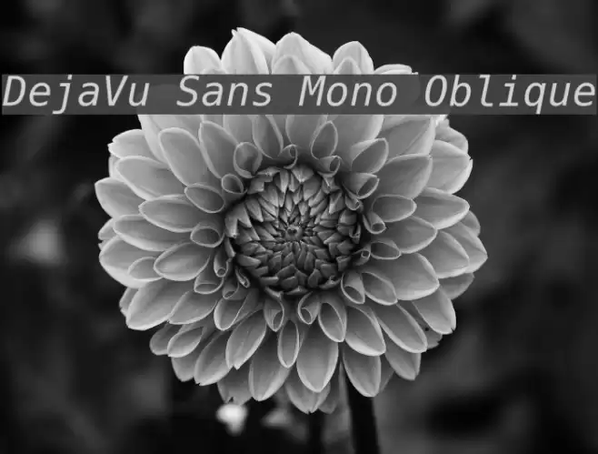 DejaVu Sans Mono Oblique Font examples