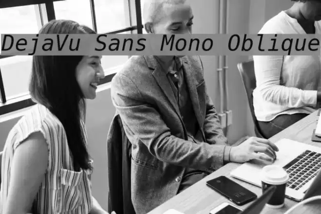 DejaVu Sans Mono Oblique Font examples