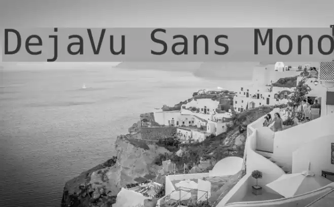 DejaVu Sans Mono フォント examples