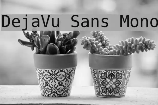 DejaVu Sans Mono フォント examples