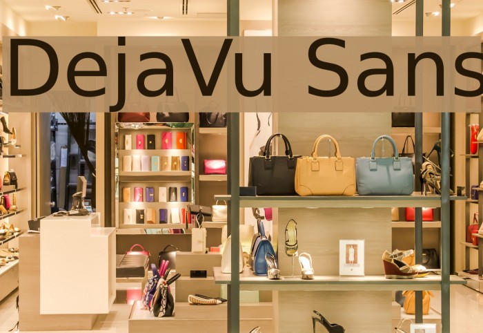 DejaVu Sans Font examples