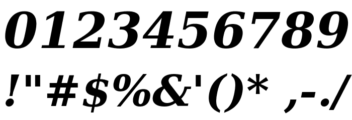 DejaVu Serif Bold Italic Font OTHER CHARS