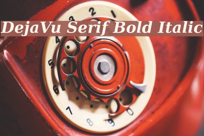 DejaVu Serif Bold Italic Font examples