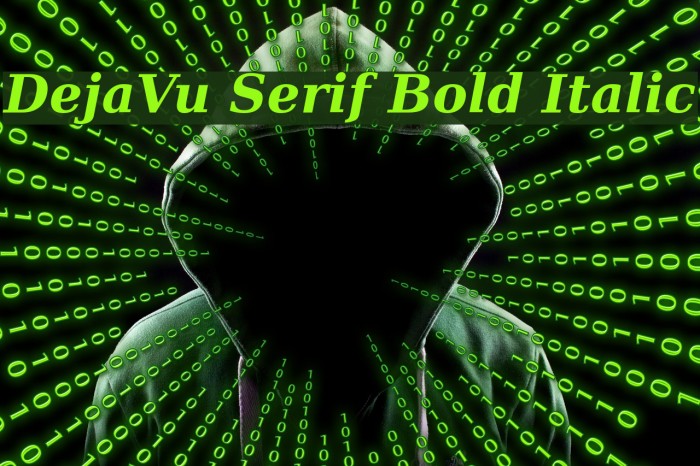 DejaVu Serif Bold Italic Font examples