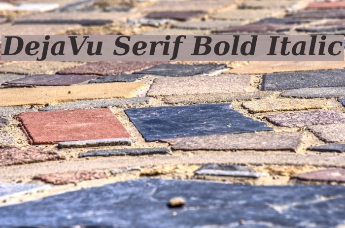 DejaVu Serif Bold Italic Font examples