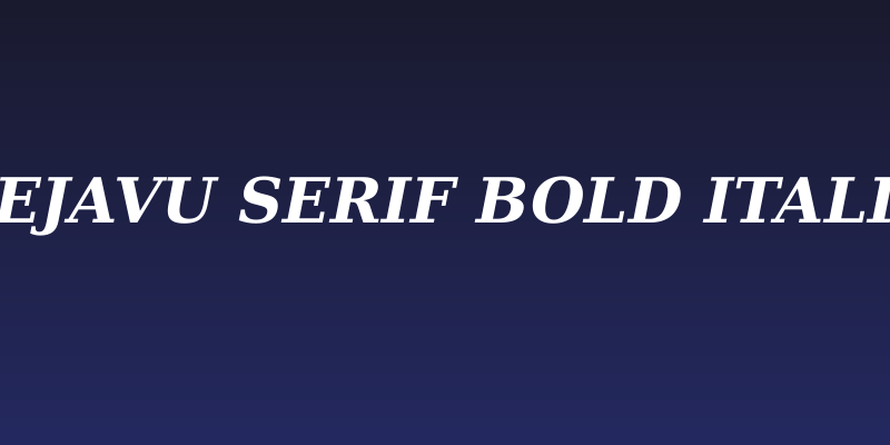 DejaVu Serif Bold Italic Social Header