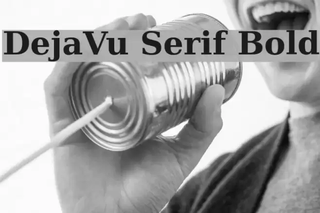 DejaVu Serif Bold خط examples