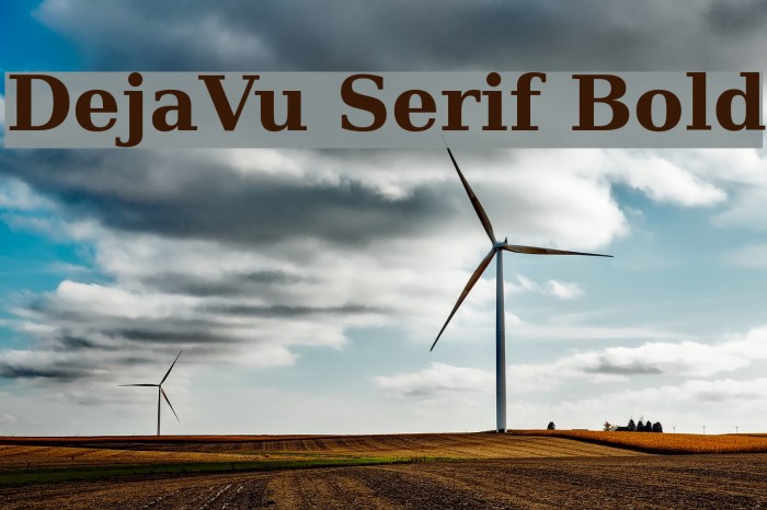 DejaVu Serif Bold لخطوط تنزيل examples