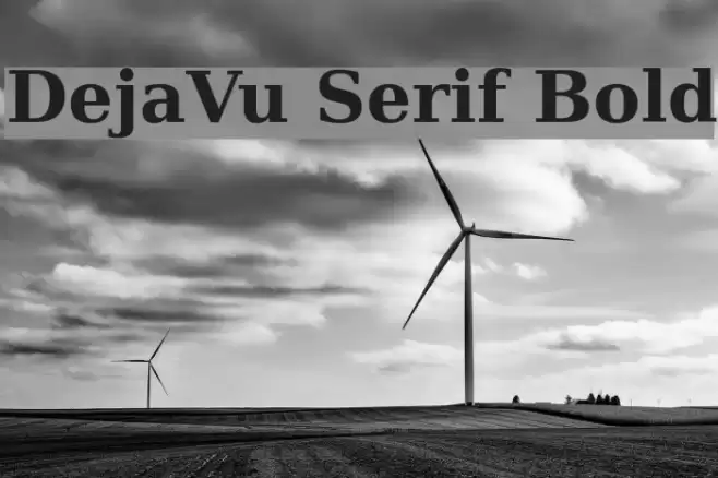 DejaVu Serif Bold خط examples