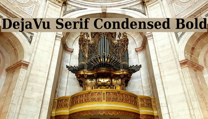 DejaVu Serif Condensed Bold Font examples